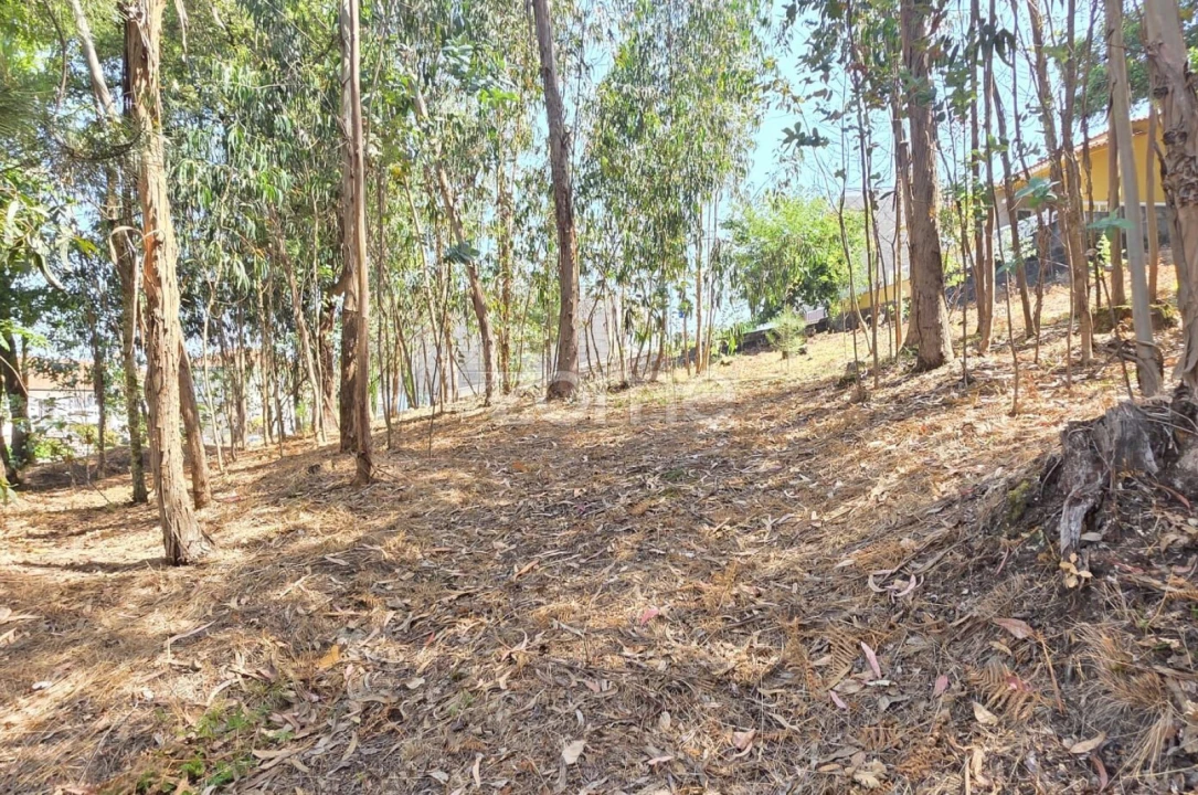 Terreno para Venda em Braga (Maximinos, Sé e Cividade) Foto 5