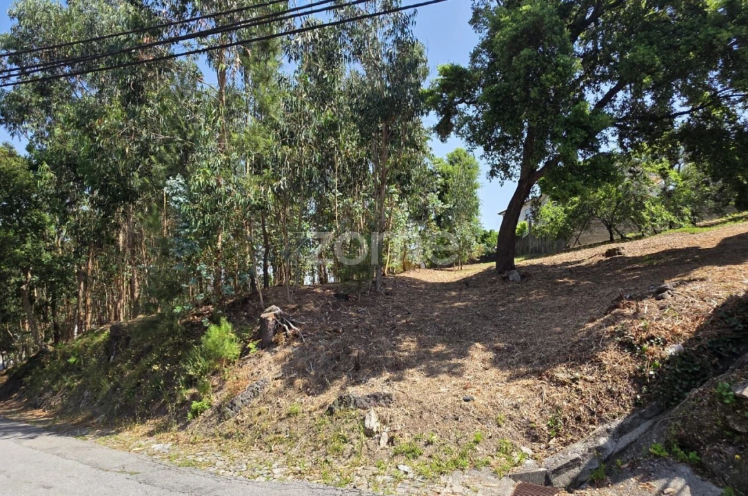 Terreno para Venda em Braga (Maximinos, Sé e Cividade) Foto 14