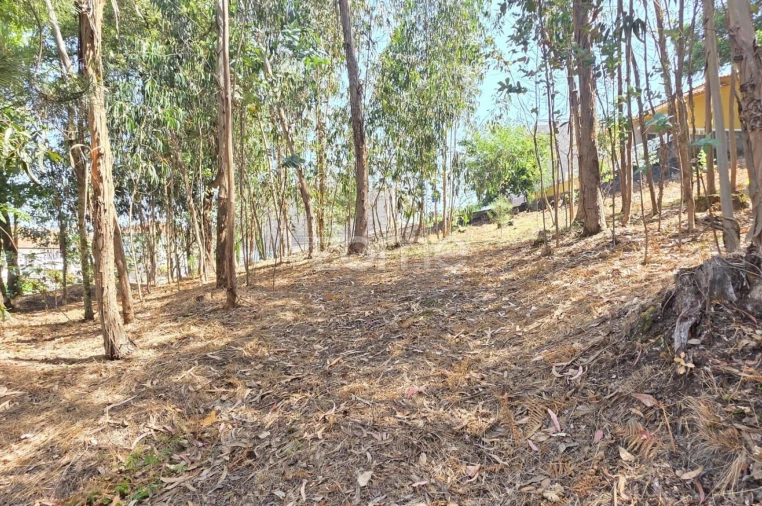 Terreno para Venda em Braga (Maximinos, Sé e Cividade) Foto 5