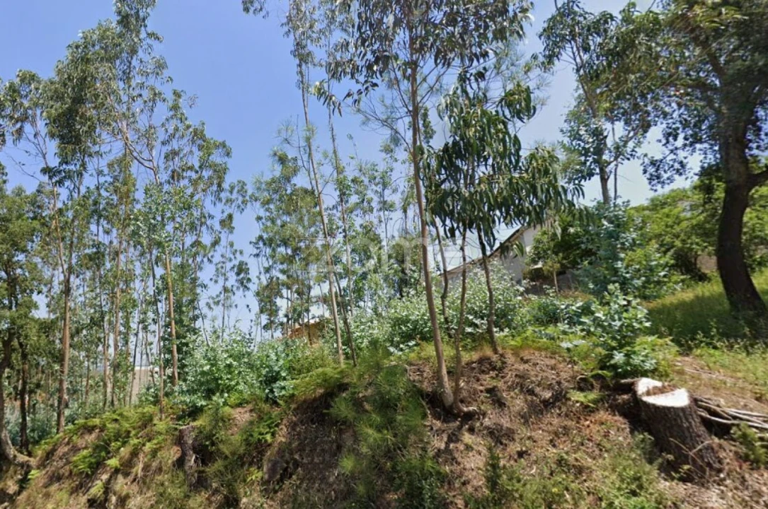 Terreno para Venda em Braga (Maximinos, Sé e Cividade) Foto 13