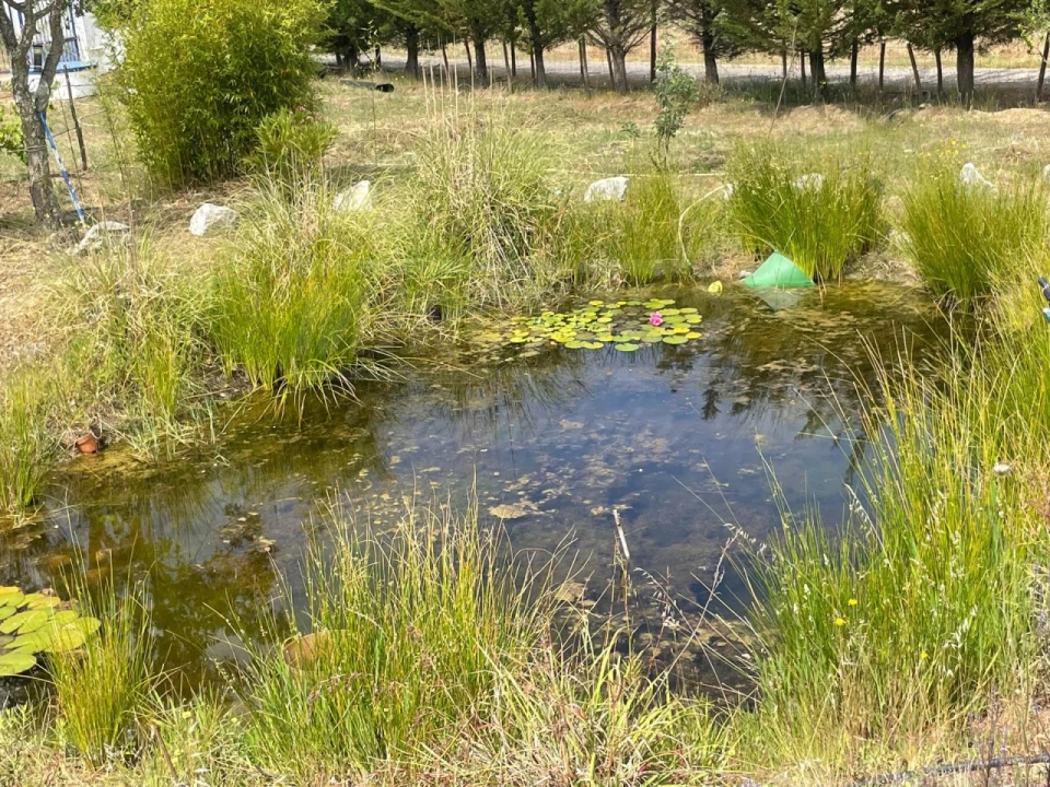 Quinta T3 para Venda em Melides Foto 46