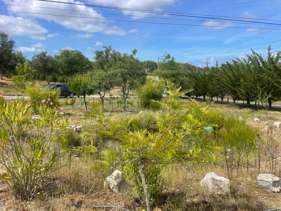 Quinta T3 para Venda em Melides Foto 50