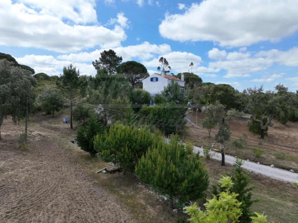 Quinta T3 para Venda em Melides Foto 60