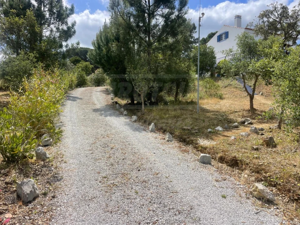 Quinta T3 para Venda em Melides Foto 3