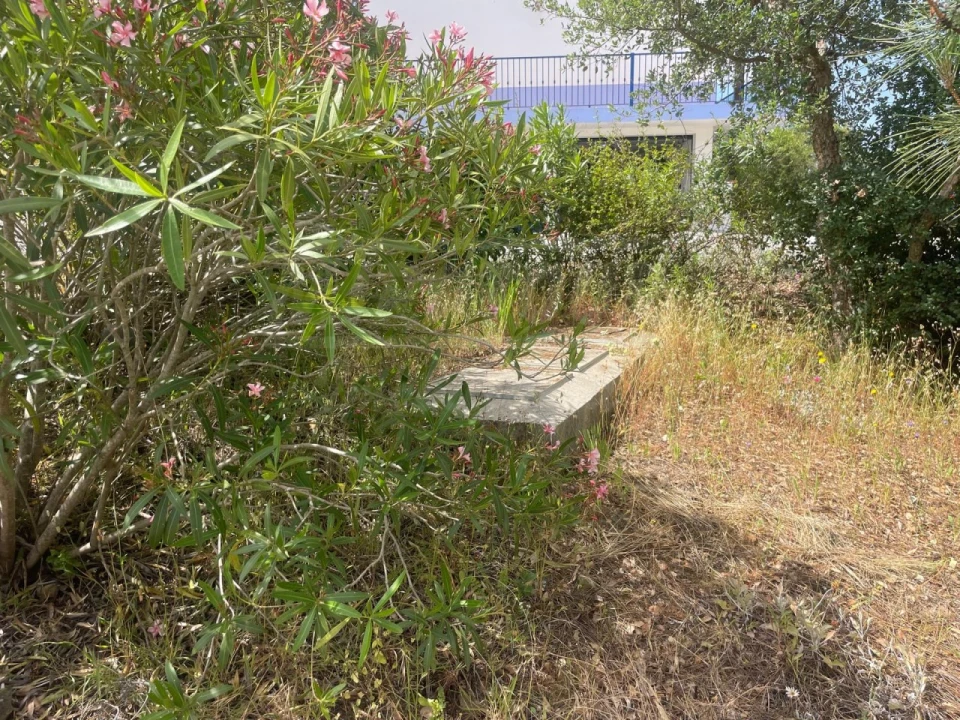 Quinta T3 para Venda em Melides Foto 62
