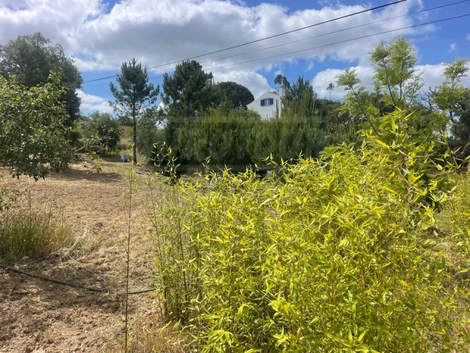 Quinta T3 para Venda em Melides Foto 51