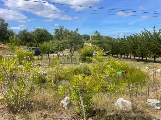 Quinta T3 para Venda em Melides Foto 50