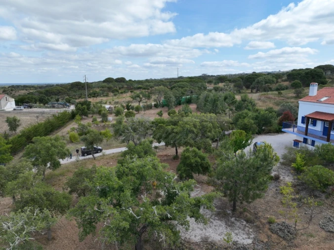 Quinta T3 para Venda em Melides Foto 58