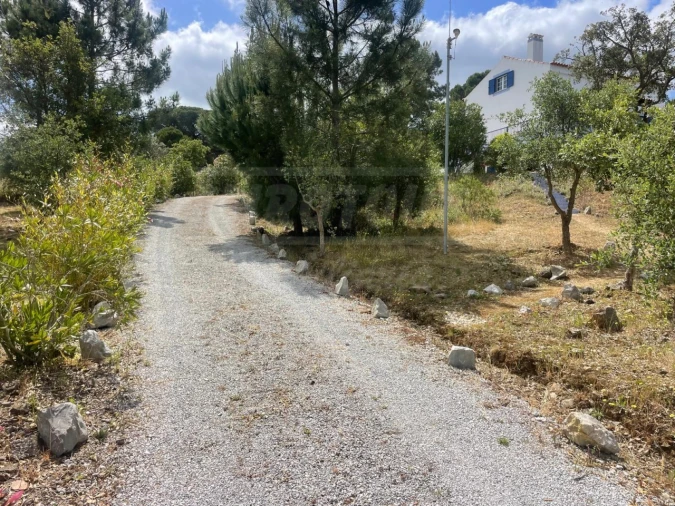 Quinta T3 para Venda em Melides Foto 3
