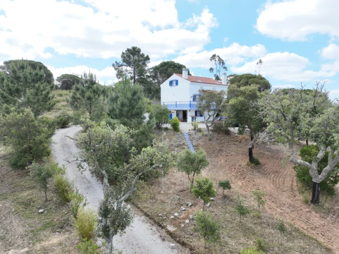Quinta T3 para Venda em Melides Foto 57