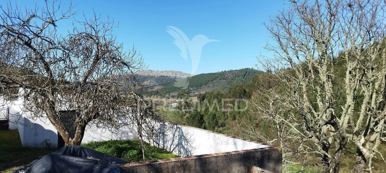 Quinta T4 para Venda em São Salvador da Aramenha Foto 26