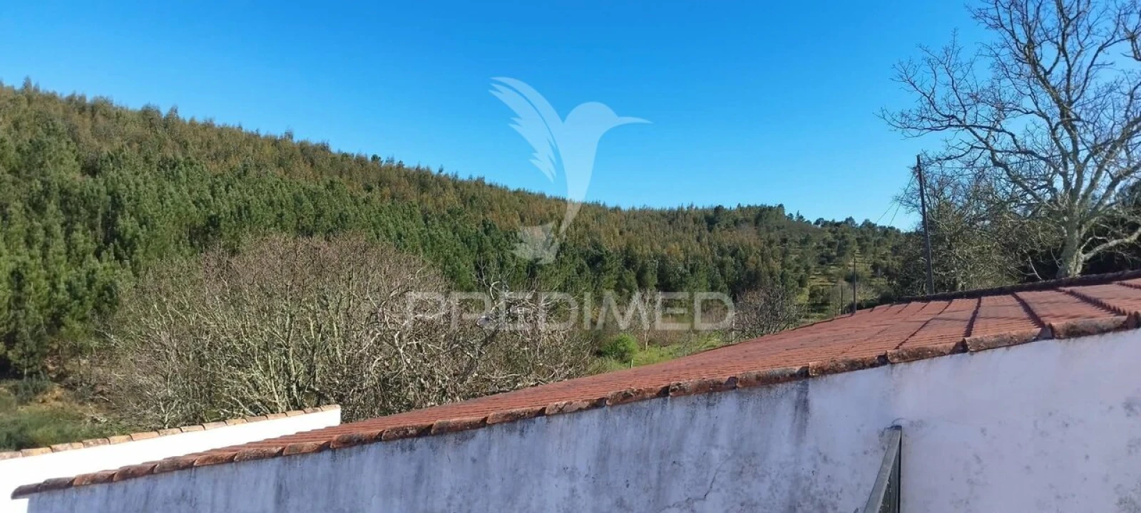 Quinta T4 para Venda em São Salvador da Aramenha Foto 20