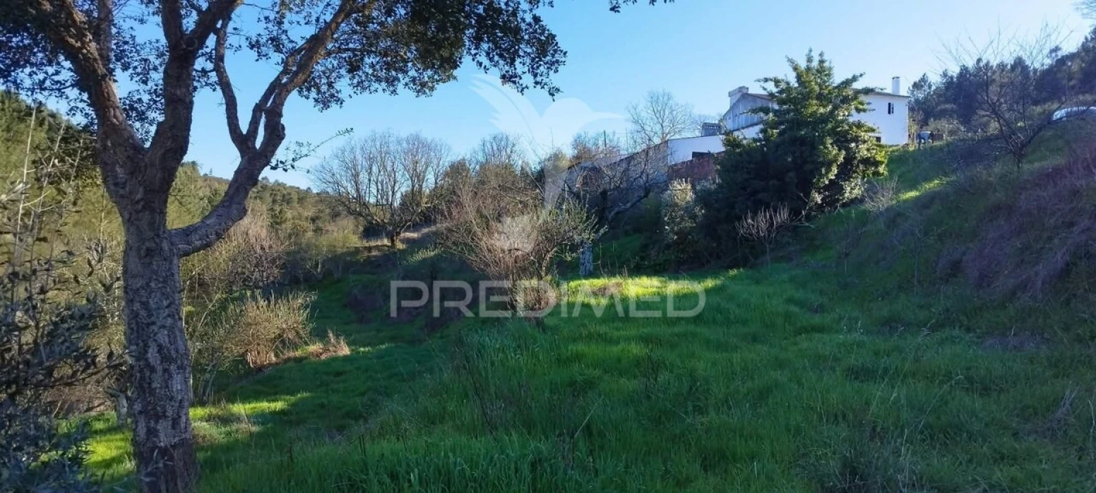 Quinta T4 para Venda em São Salvador da Aramenha Foto 9