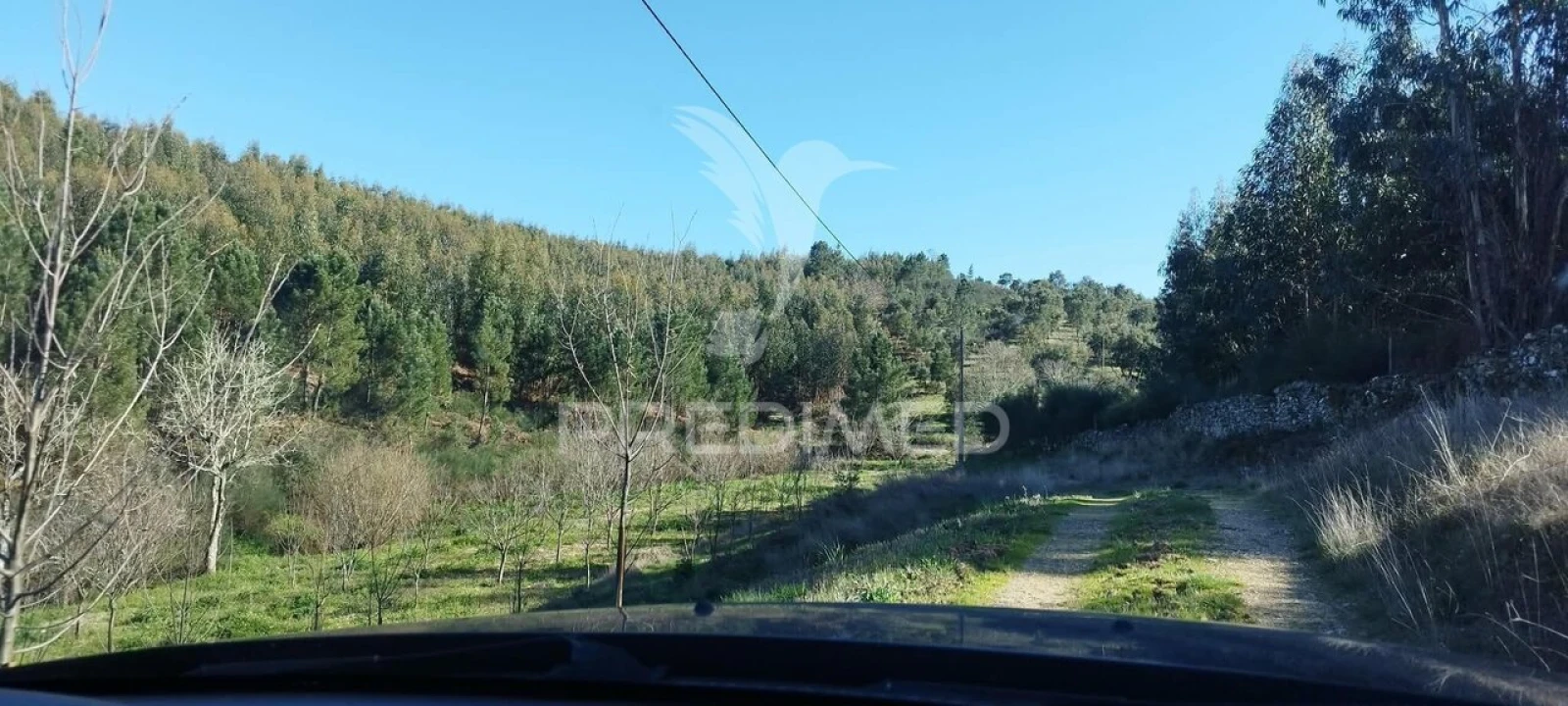 Quinta T4 para Venda em São Salvador da Aramenha Foto 16