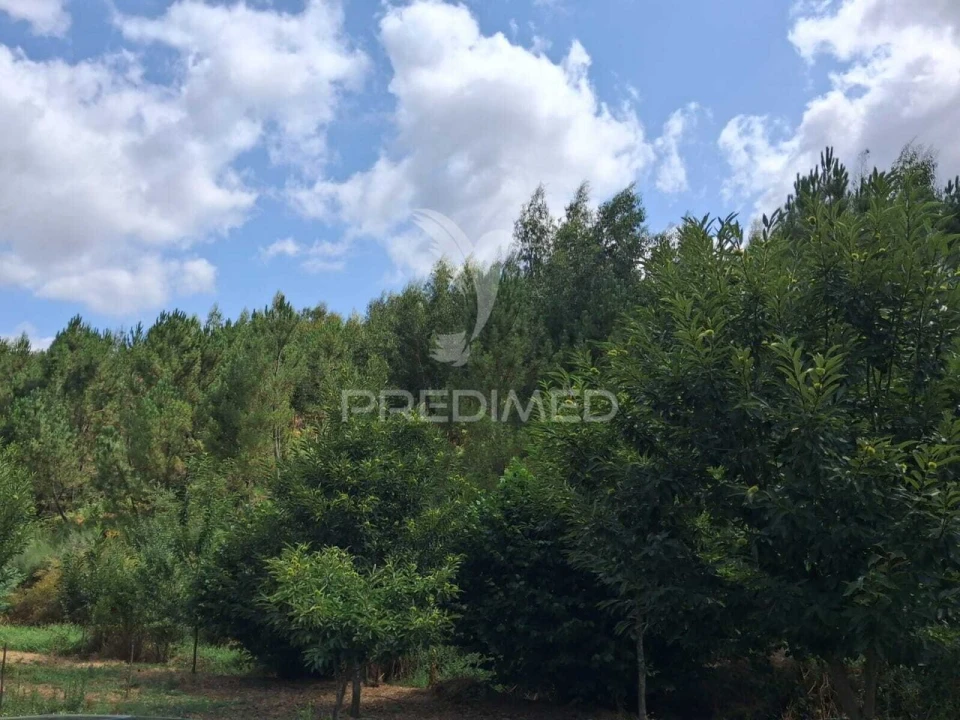 Quinta T4 para Venda em São Salvador da Aramenha Foto 37