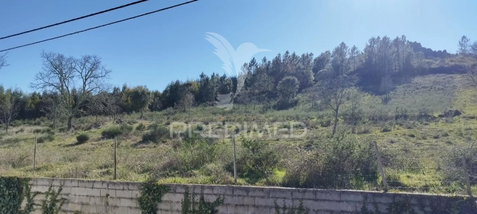 Quinta T4 para Venda em São Salvador da Aramenha Foto 30