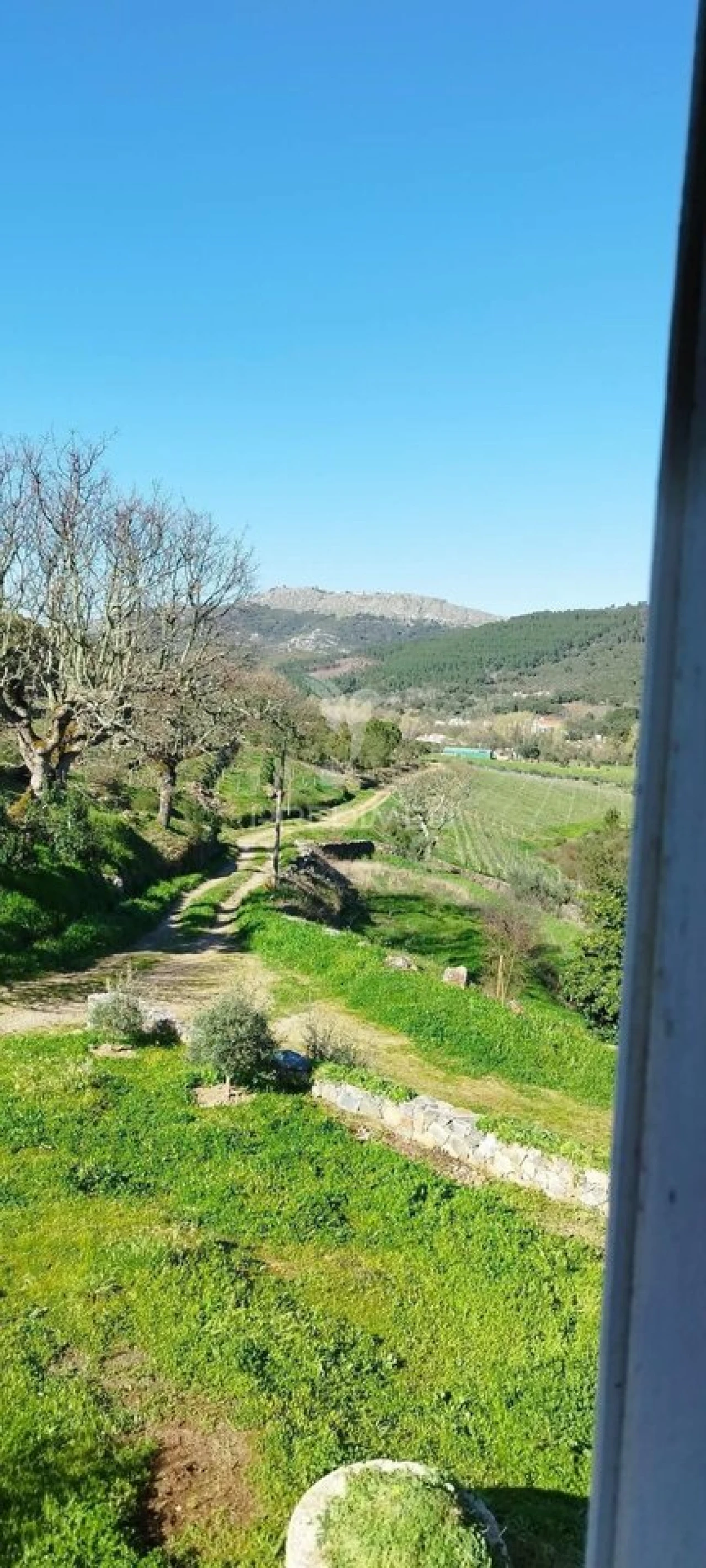Quinta T4 para Venda em São Salvador da Aramenha Foto 25