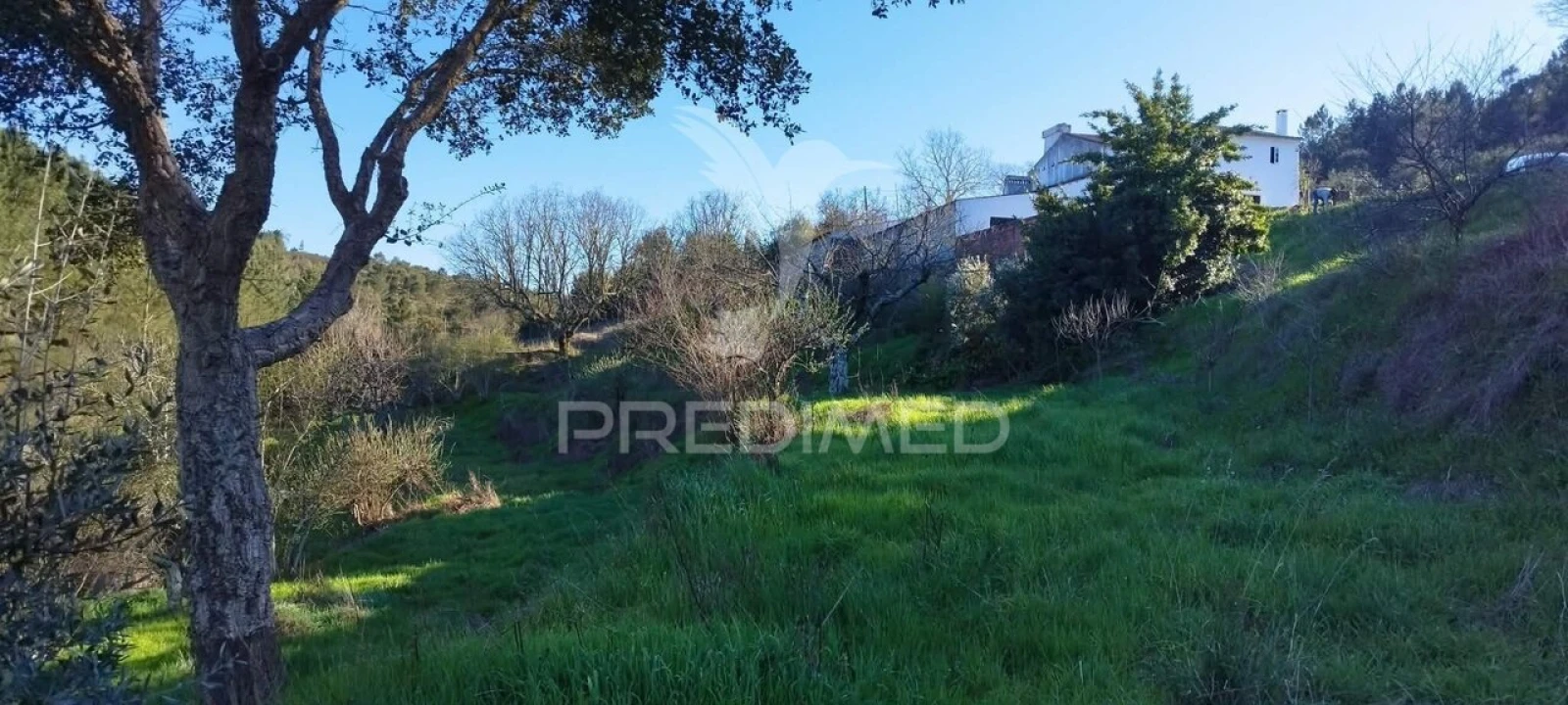 Quinta T4 para Venda em São Salvador da Aramenha Foto 7