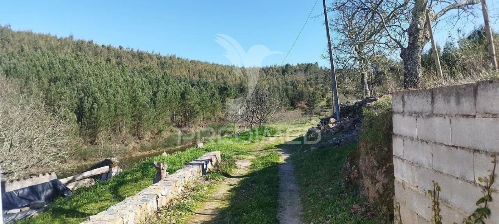 Quinta T4 para Venda em São Salvador da Aramenha Foto 18