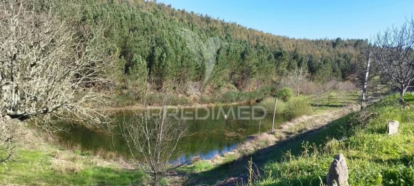 Quinta T4 para Venda em São Salvador da Aramenha