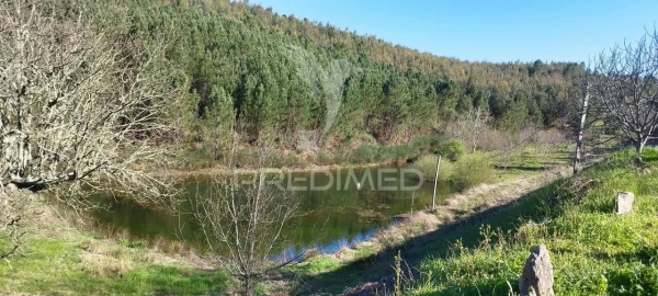 Quinta T4 para Venda em São Salvador da Aramenha