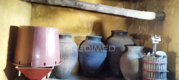 Quinta T4 para Venda em São Salvador da Aramenha