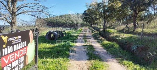 Quinta T4 para Venda em São Salvador da Aramenha