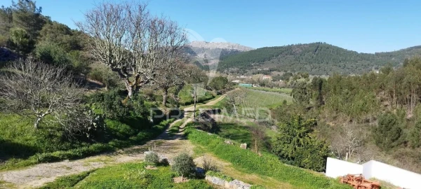 Quinta T4 para Venda em São Salvador da Aramenha