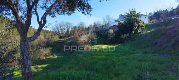Quinta T4 para Venda em São Salvador da Aramenha