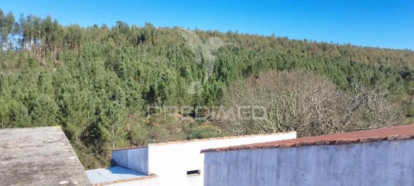 Quinta T4 para Venda em São Salvador da Aramenha