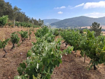 Quinta T4 para Venda em São Salvador da Aramenha