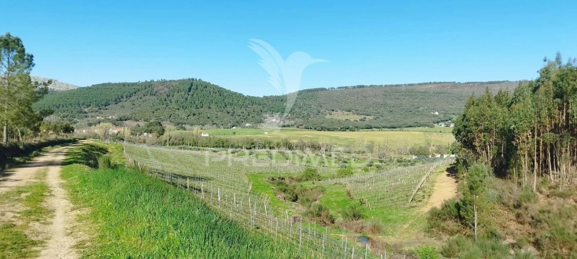 Quinta T4 para Venda em São Salvador da Aramenha Foto 13