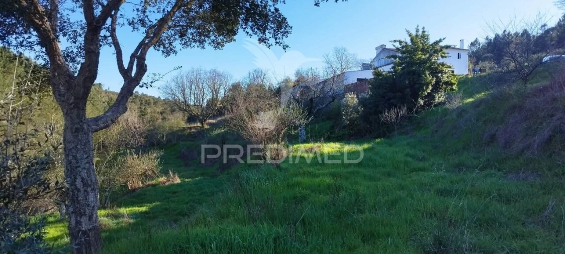 Quinta T4 para Venda em São Salvador da Aramenha Foto 9