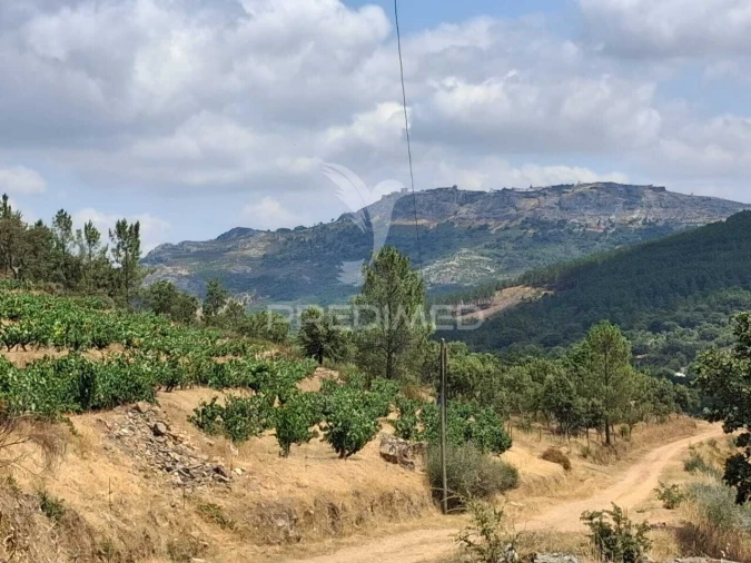 Quinta T4 para Venda em São Salvador da Aramenha Foto 38