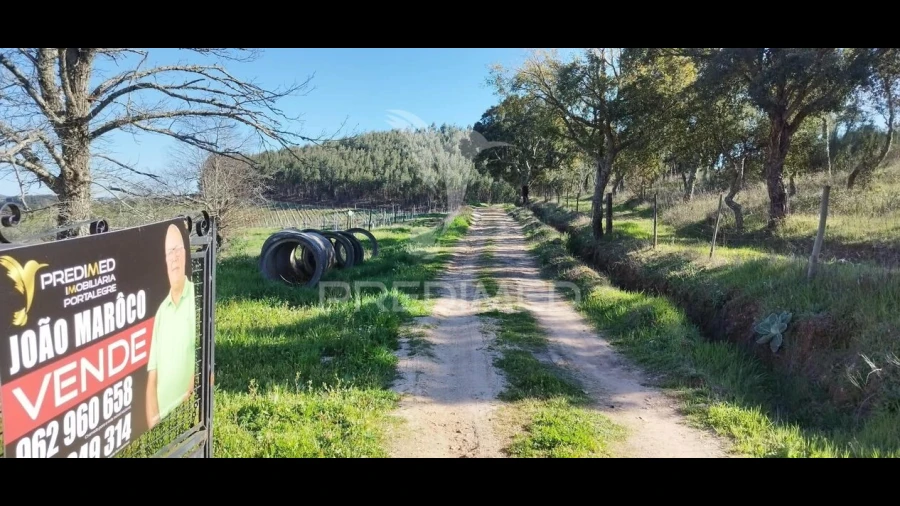 Quinta T4 para Venda em São Salvador da Aramenha