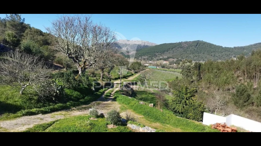 Quinta T4 para Venda em São Salvador da Aramenha