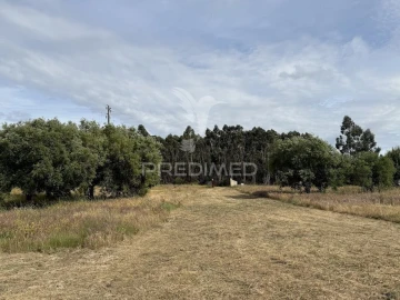 Quinta T3 para Venda em Sines