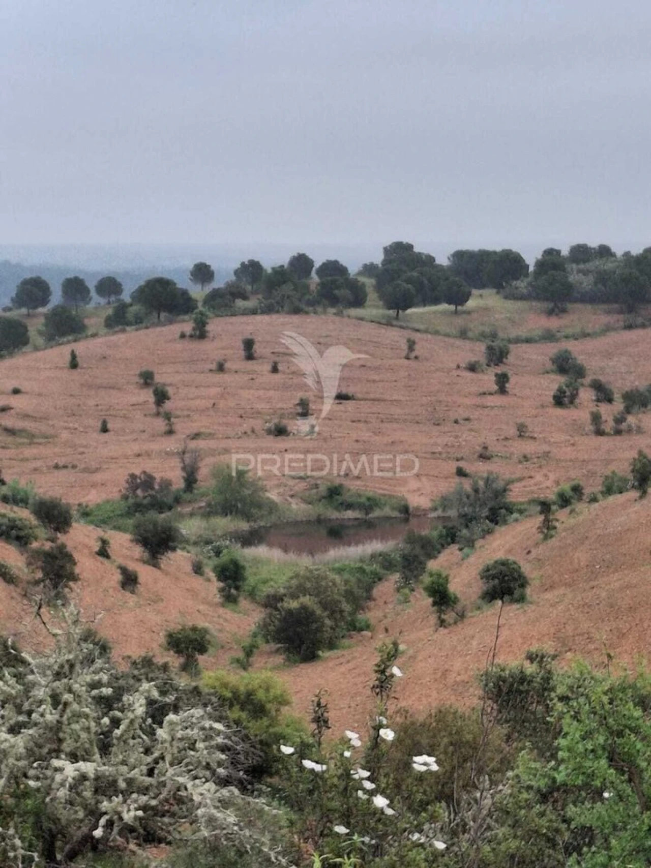 Terreno para Venda em Mertola Foto 19