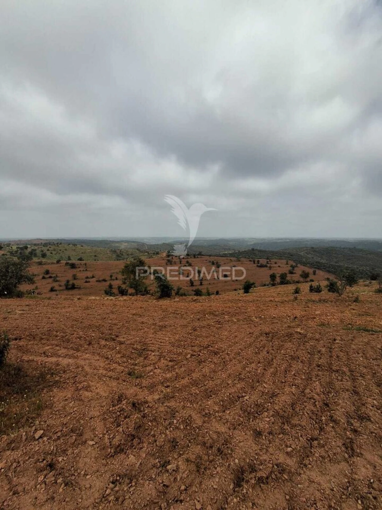 Terreno para Venda em Mertola Foto 15