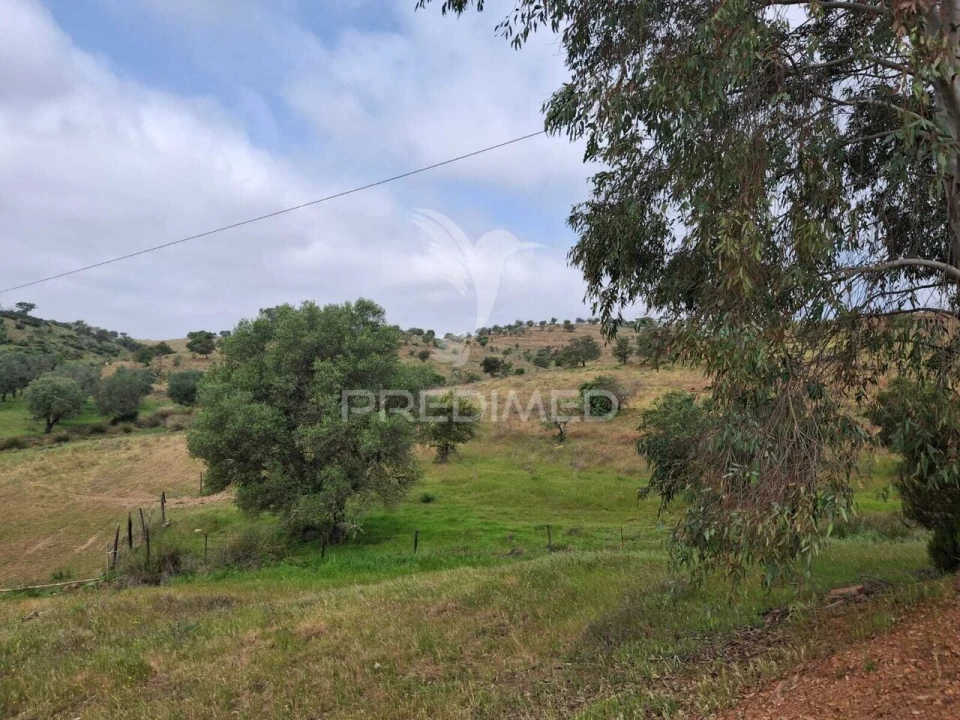 Terreno para Venda em Mertola Foto 3