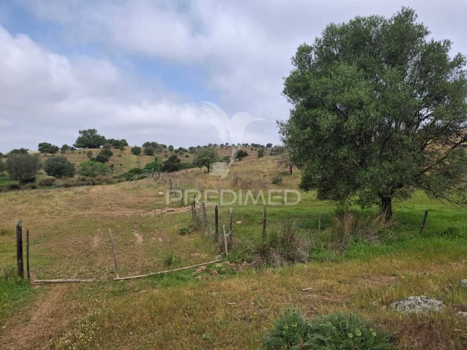 Terreno para Venda em Mertola Foto 24
