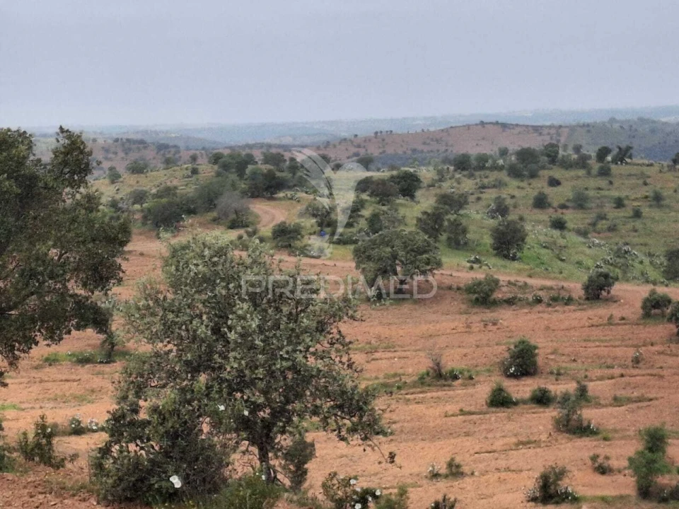 Terreno para Venda em Mertola Foto 9