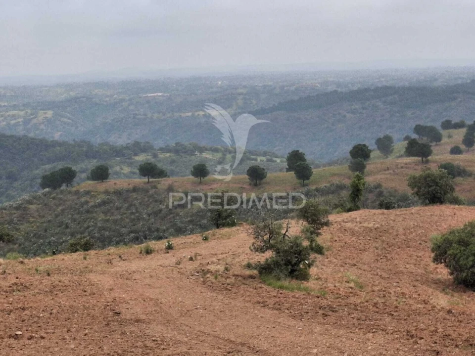 Terreno para Venda em Mertola Foto 10