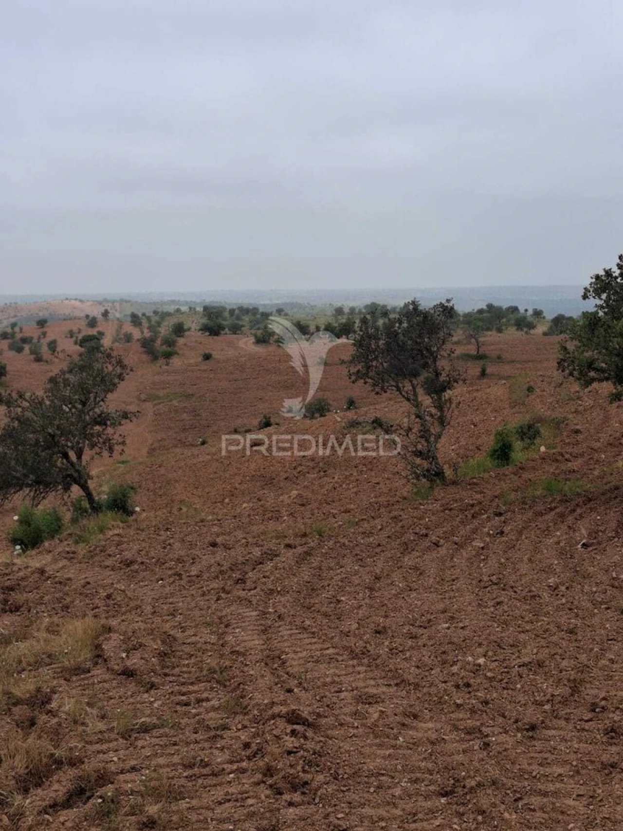 Terreno para Venda em Mertola Foto 21