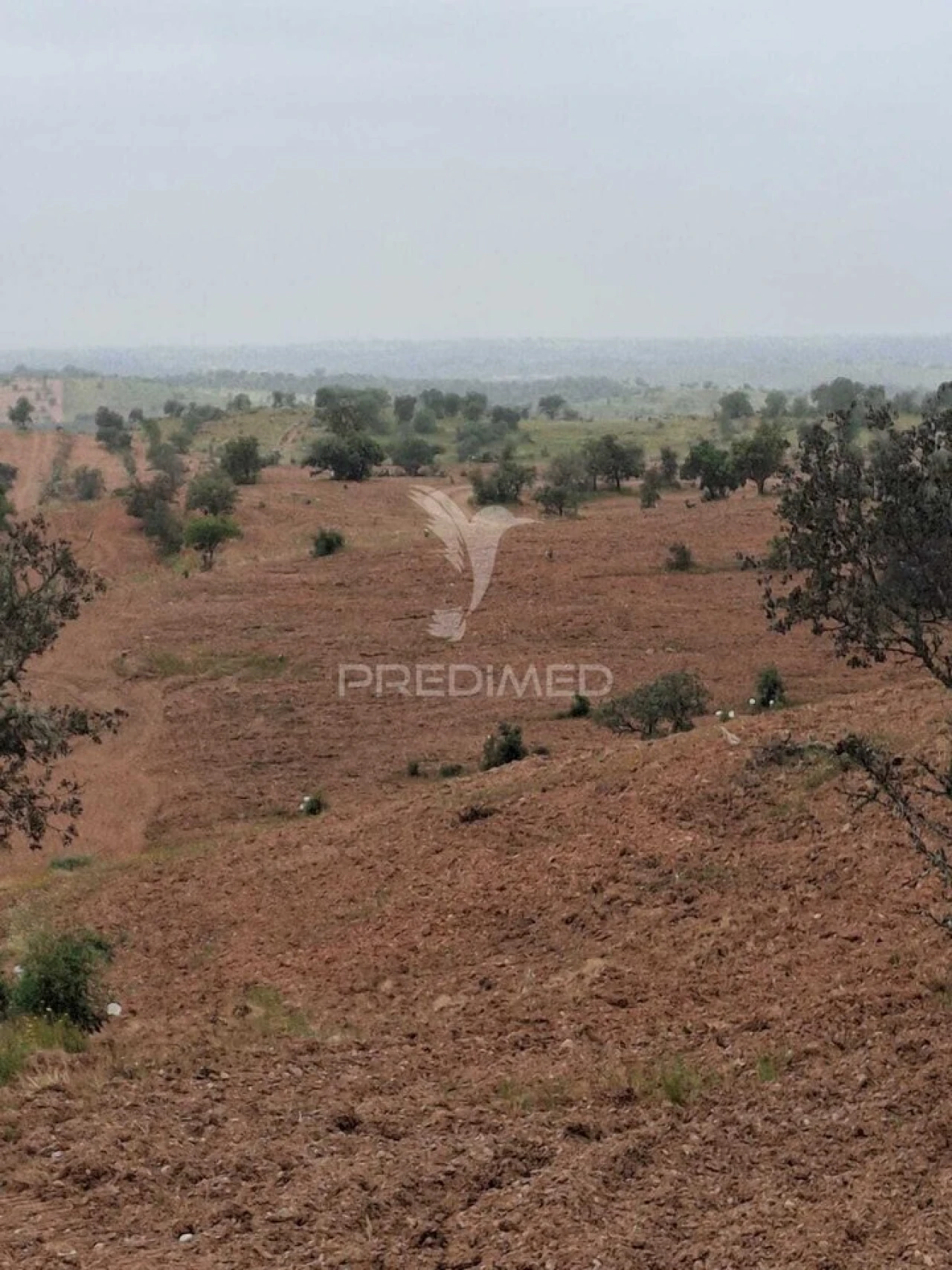Terreno para Venda em Mertola Foto 20