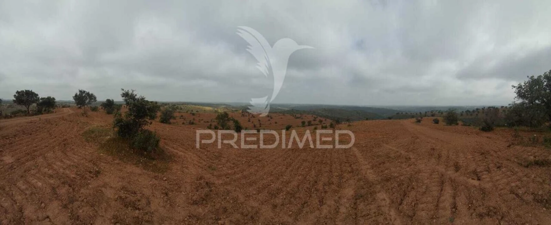Terreno para Venda em Mertola Foto 12