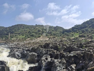 Terreno para Venda em Mertola
