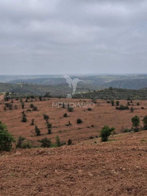 Terreno para Venda em Mertola