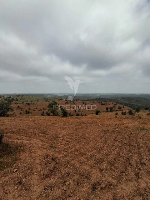 Terreno para Venda em Mertola