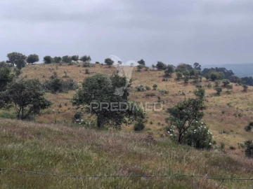 Terreno para Venda em Mertola